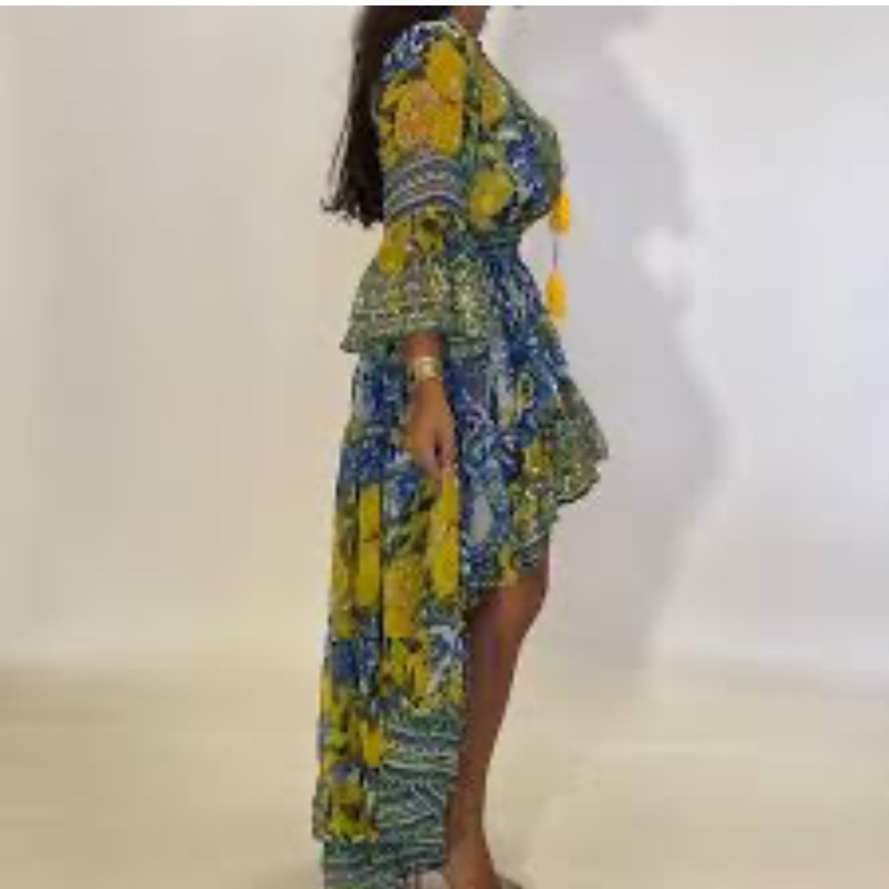 ANTICA SARTORIA by Giacomo Cinque LEMONS blue Mediterranean sequin sheer Dress - Picture 14 of 14